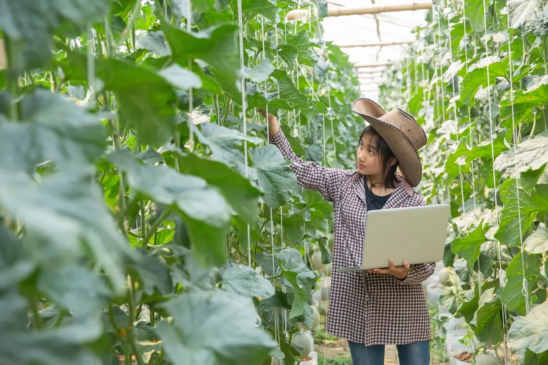 2025年影视制作新规解读：企业宣传片合规要点与实操指南
